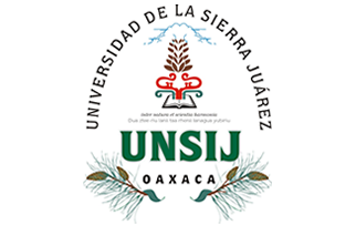 Logotipo de correo de la UNSIJ